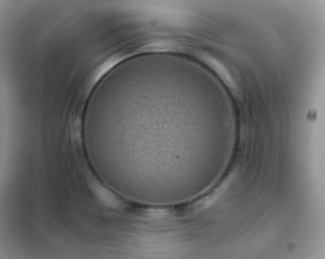 X0000102341465200808011129