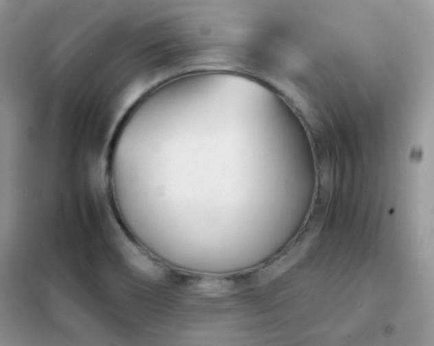 X0000102341466200808011129