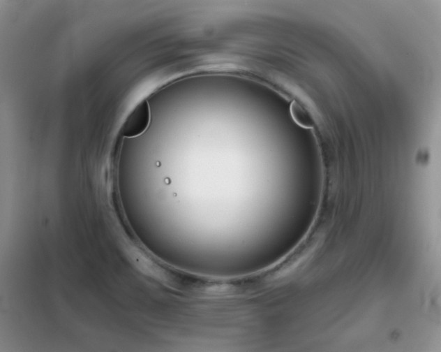 X0000102341467200808011129