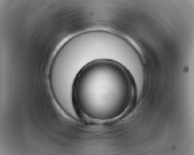 X0000102341468200808011129