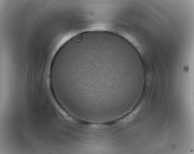 X0000102341469200808011129