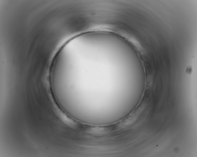 X0000102341470200808011129