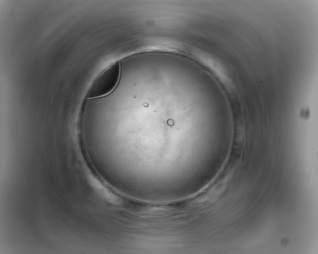 X0000102341471200808011129