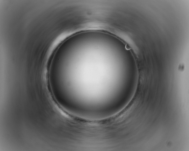 X0000102341472200808011129