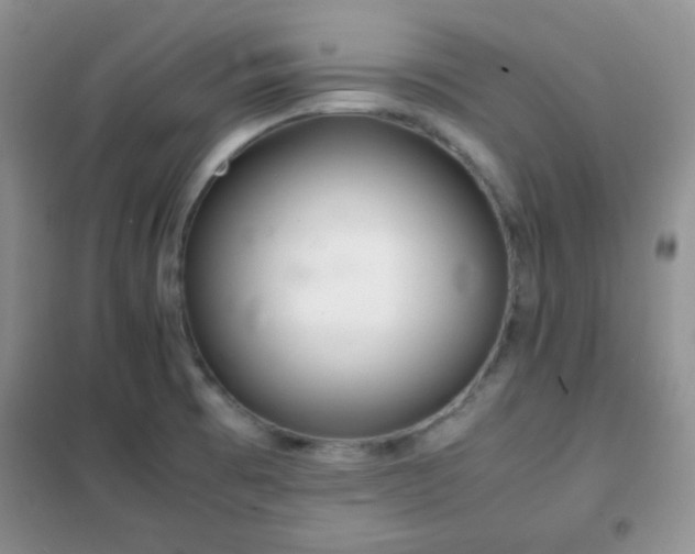 X0000102341473200808011129