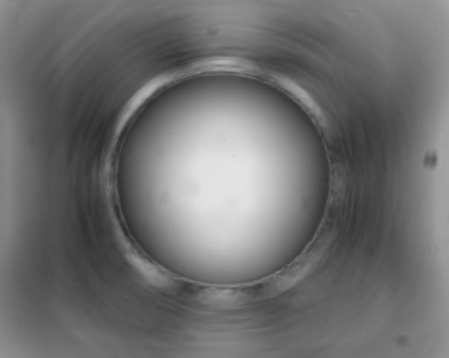 X0000102341474200808011129