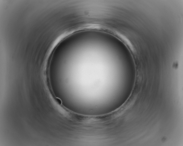 X0000102341475200808011129