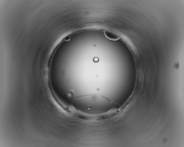 X0000102341476200808011129