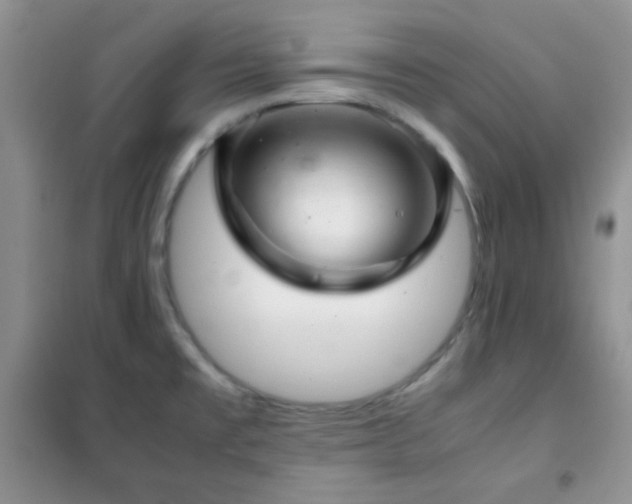 X0000102341477200808011129