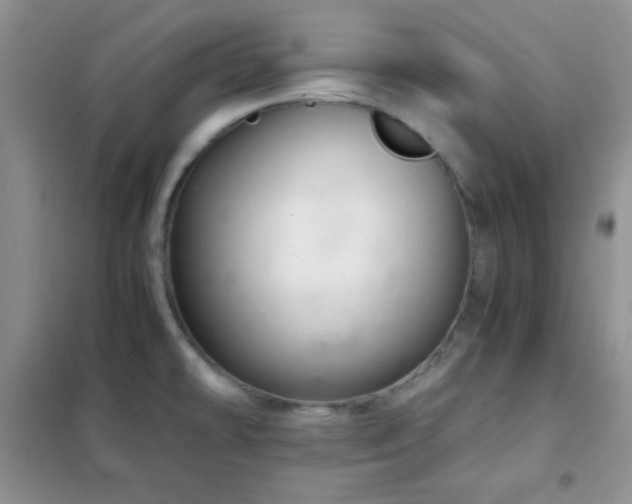 X0000102341478200808011129