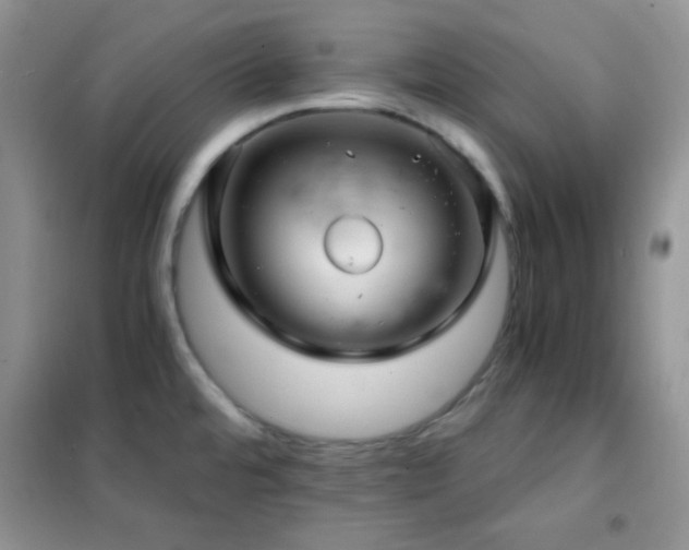 X0000102341480200808011129