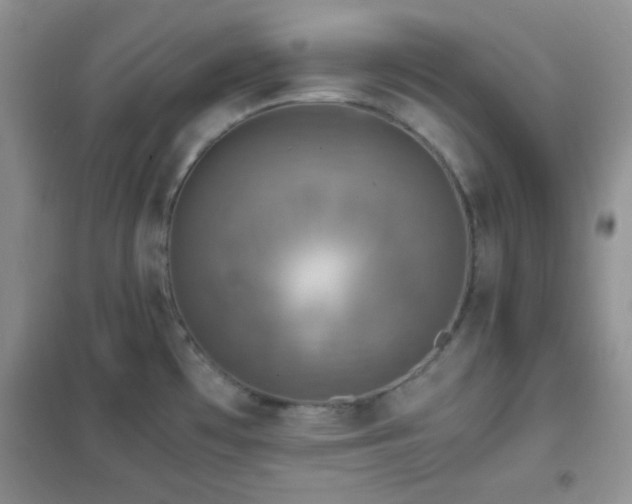 X0000102341481200808011128