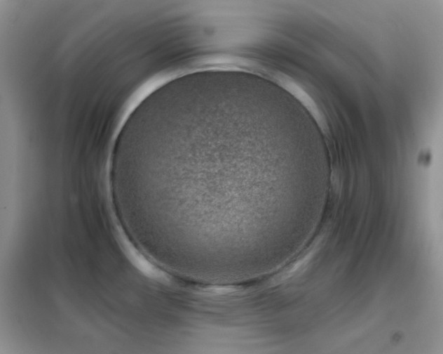 X0000102341482200808011128