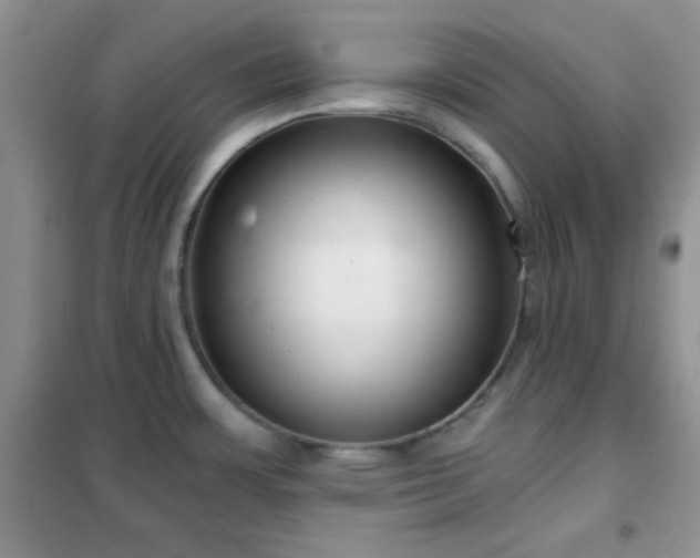 X0000102341483200808011128