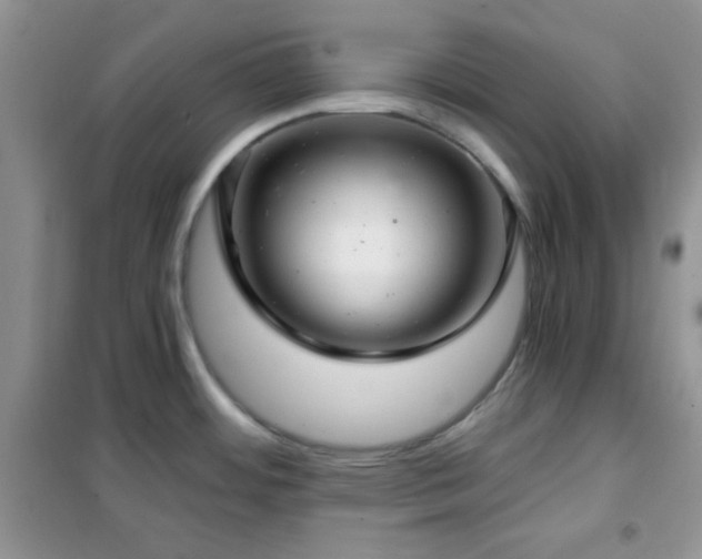 X0000102341484200808011128