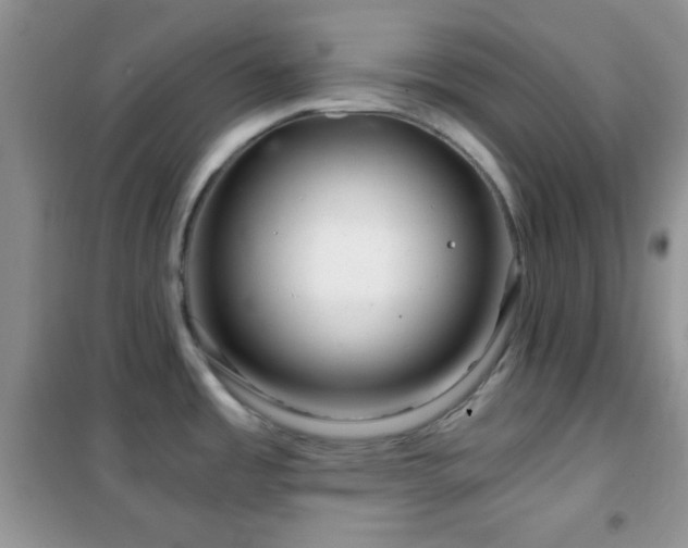 X0000102341485200808011128