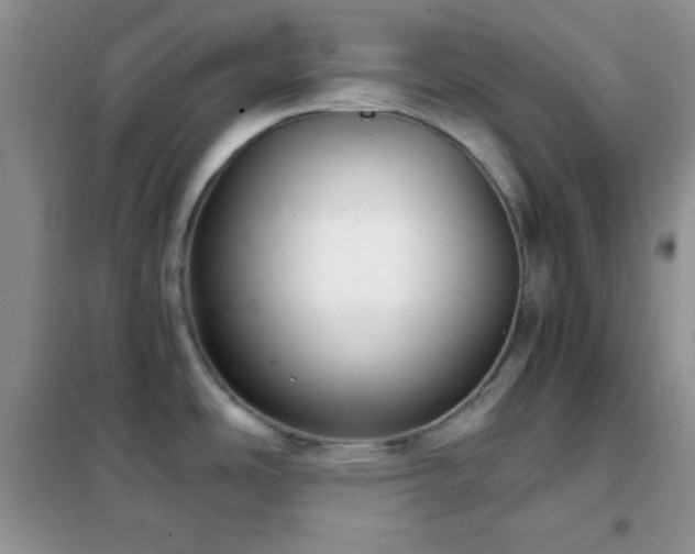 X0000102341486200808011128