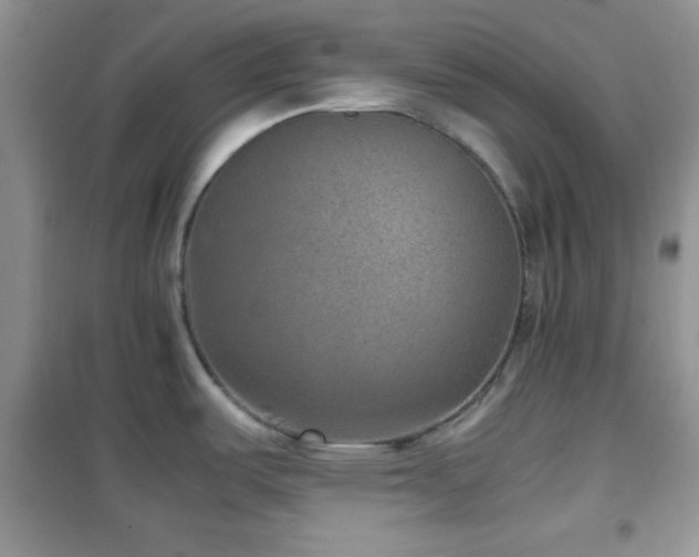 X0000102341487200808011128