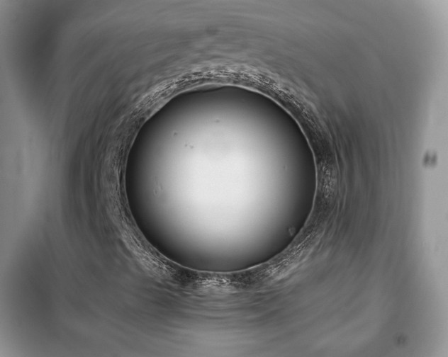 X0000102341489200808011128