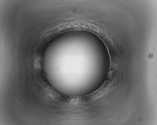 X0000102341490200808011128