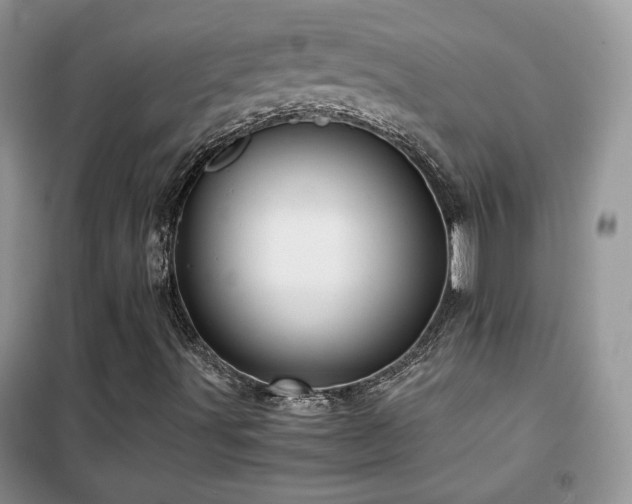 X0000102341491200808011128