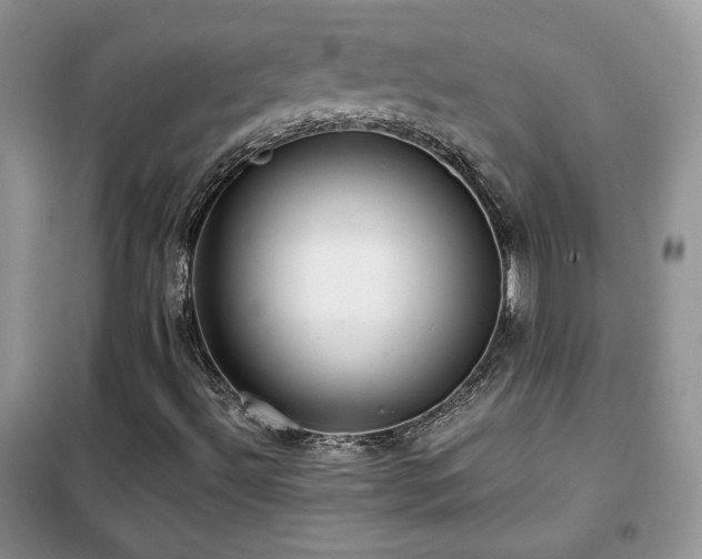 X0000102341492200808011128