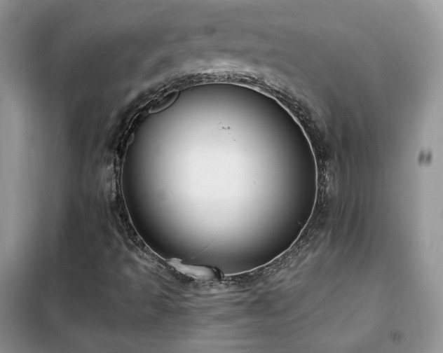 X0000102341493200808011128