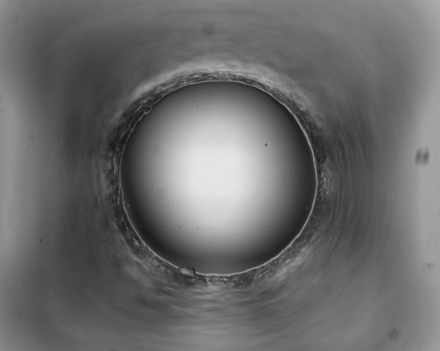 X0000102341494200808011128