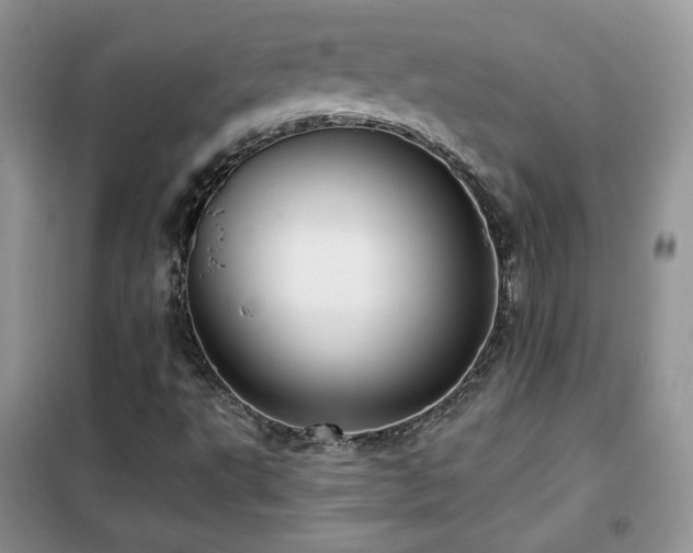 X0000102341495200808011128