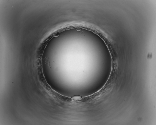 X0000102341496200808011128