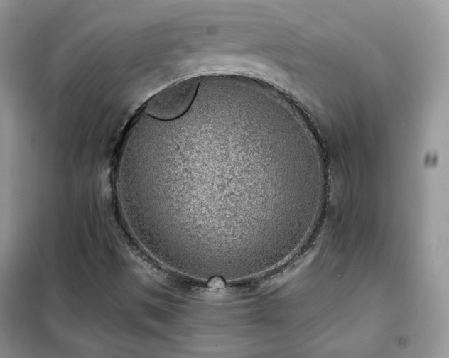 X0000102341497200808011128