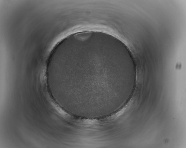 X0000102341498200808011128