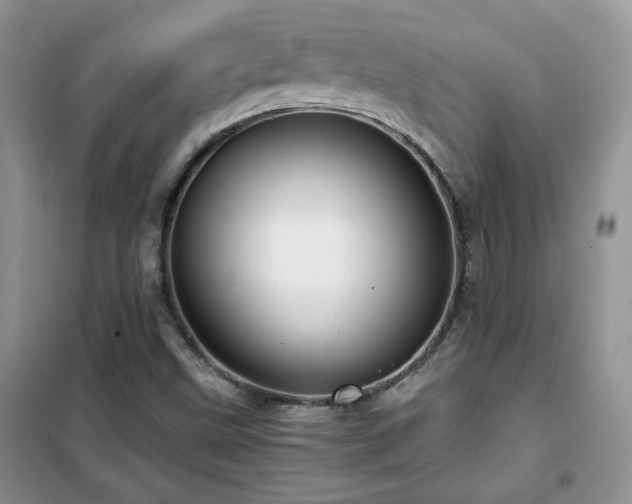 X0000102341499200808011128