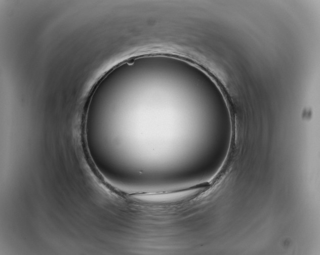 X0000102341500200808011128