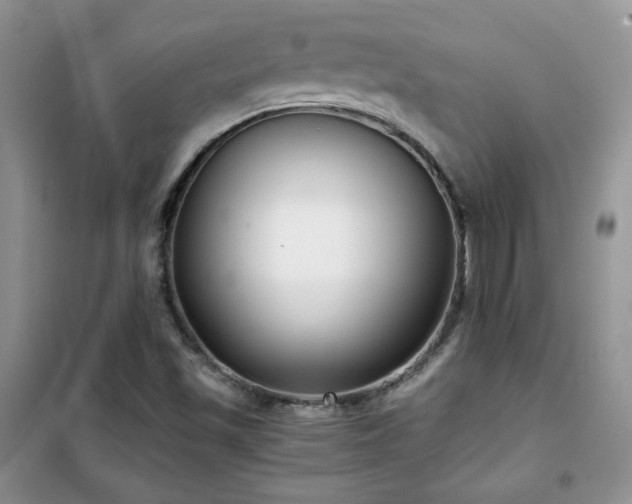 X0000102341501200808011128