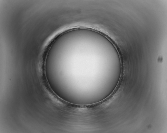 X0000102341502200808011128