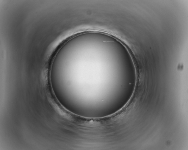 X0000102341503200808011128