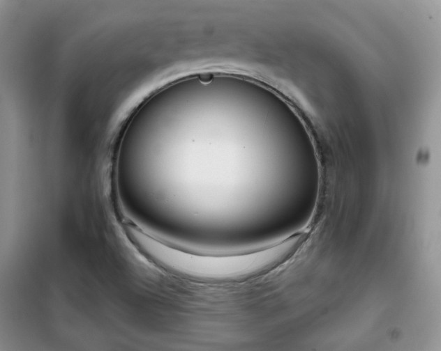 X0000102341504200808011128