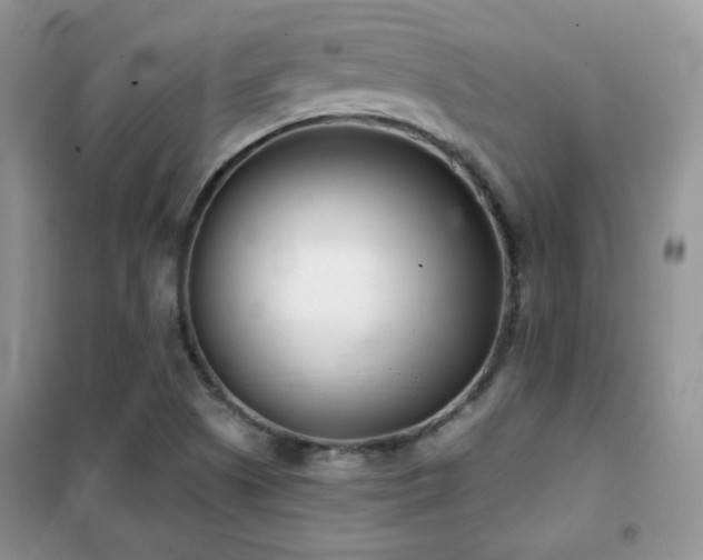 X0000102341505200808011128