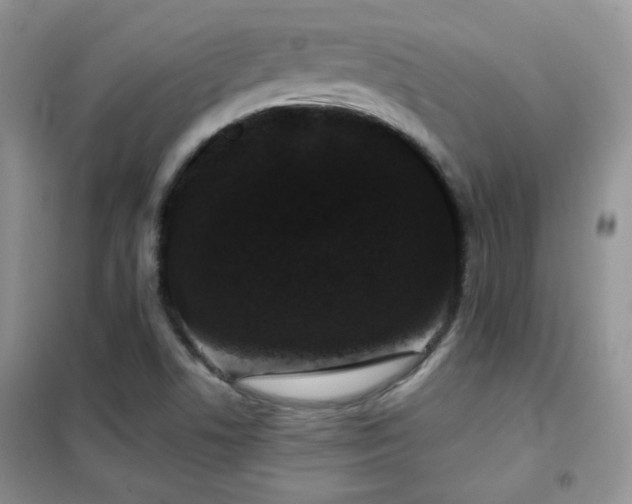 X0000102341506200808011128