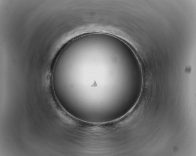 X0000102341507200808011128