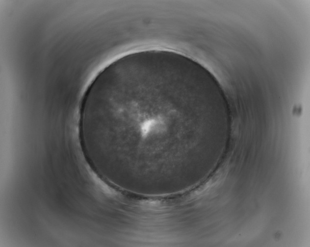 X0000102341508200808011128