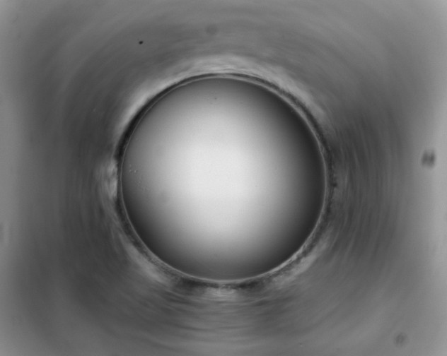 X0000102341509200808011128