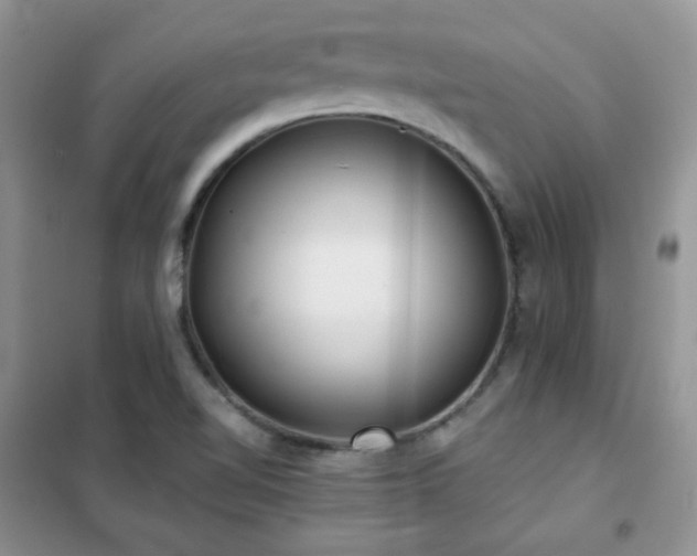 X0000102341510200808011128