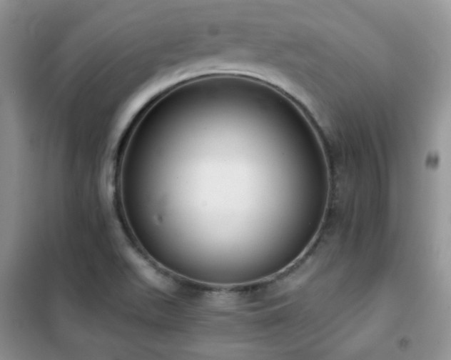 X0000102341511200808011128