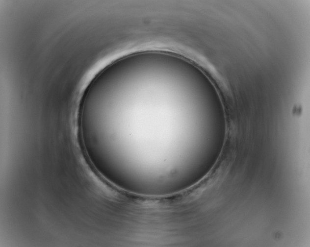 X0000102341512200808011128