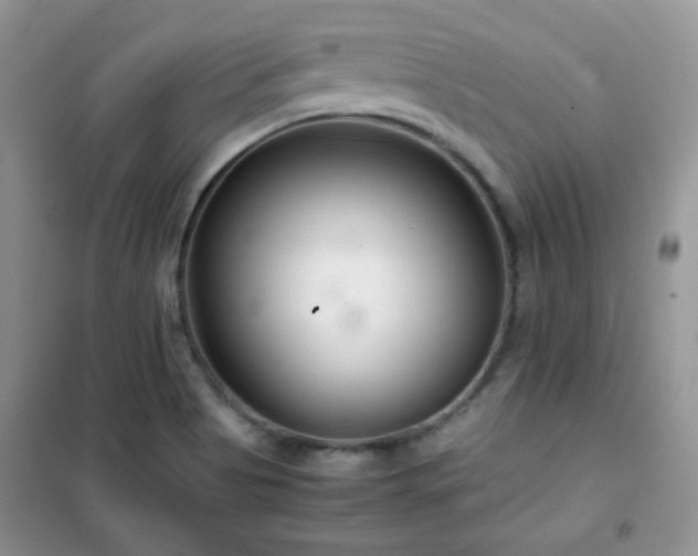 X0000102341513200808011128