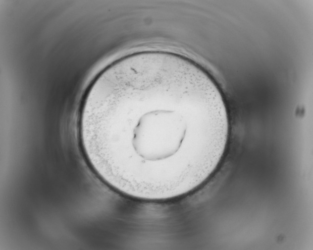 X0000102341514200808011128