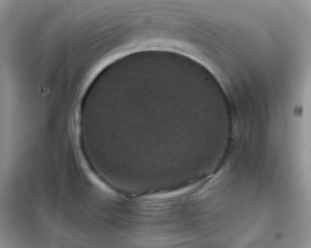 X0000102341515200808011128