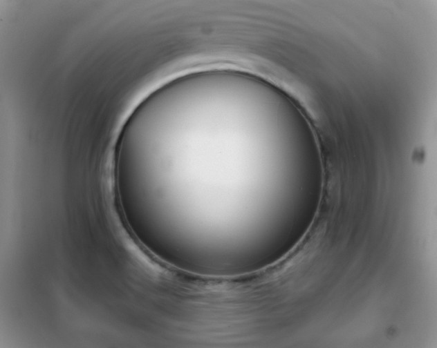 X0000102341516200808011128